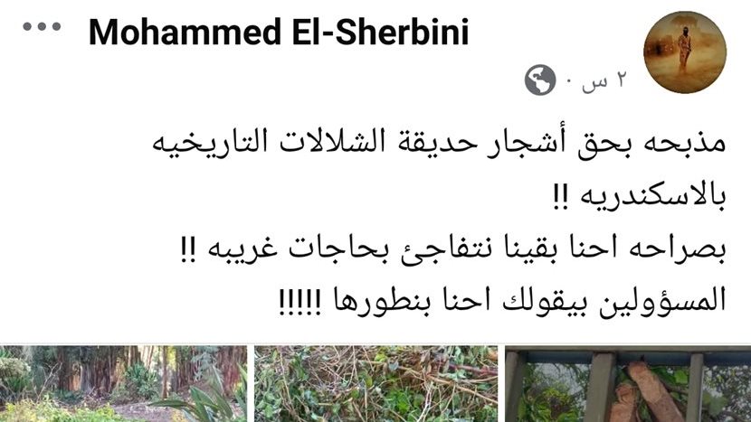 Screenshot_2024-12-06-20-51-21-13_a23b203fd3aafc6dcb84e438dda678b6 - قص