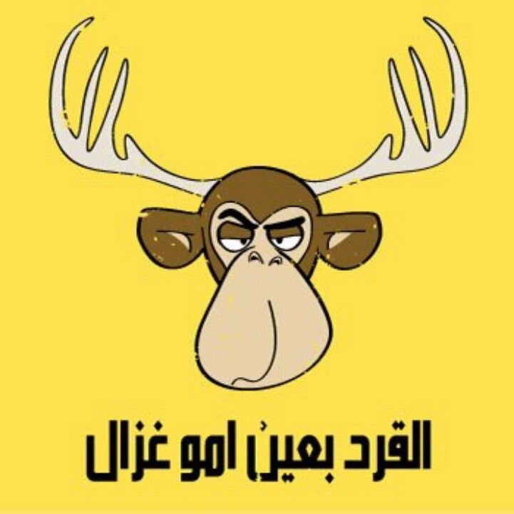 أمثال شعبية مصرية مضحكة