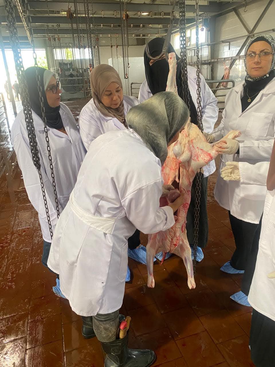 حملات تفتيشية ببورسعيد 