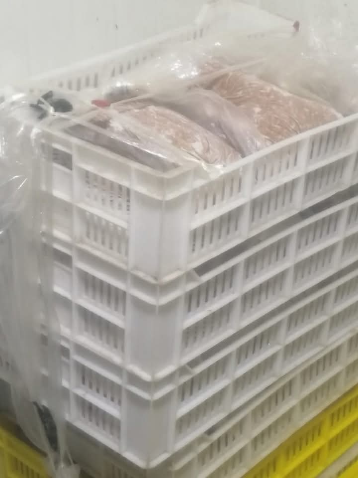 حملات تفتيشية ببورسعيد 