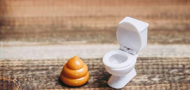 تفسير رؤية البراز في المنام للمتزوجة