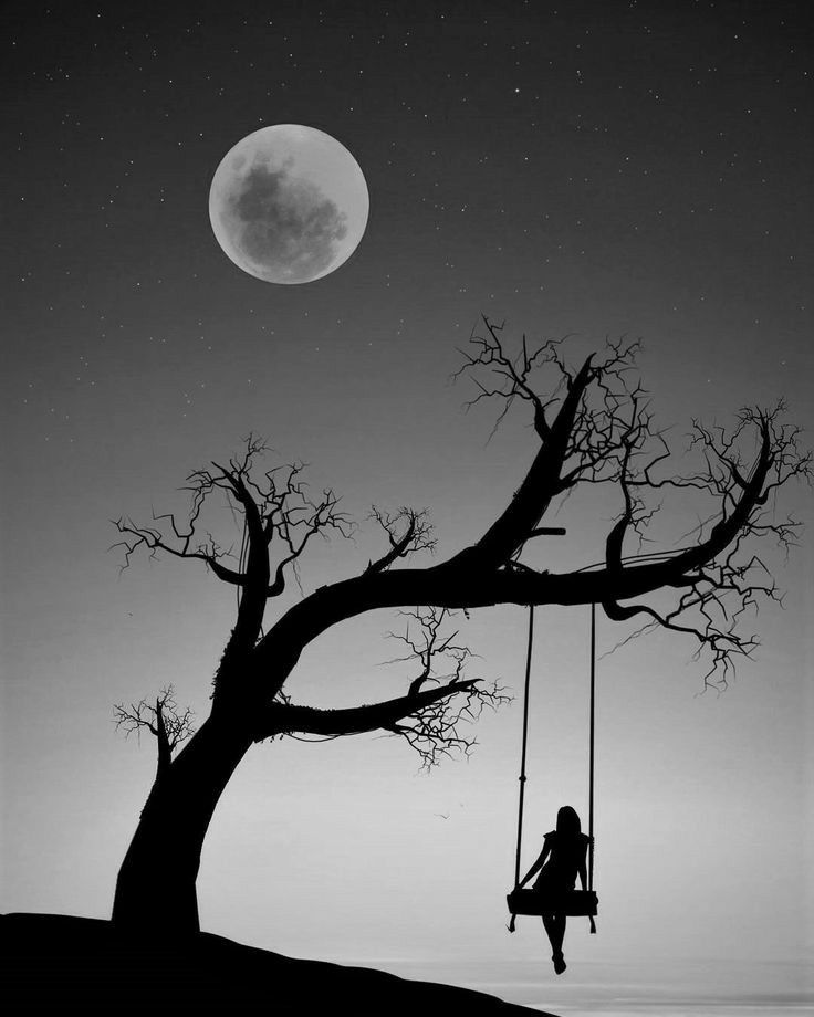 رسومات بالرصاص مناظر طبيعية