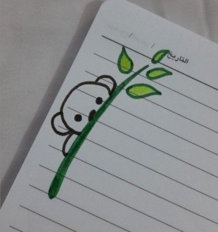 رسومات لتزيين الكراسات