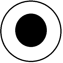A black circle in a white circle
Description automatically generated