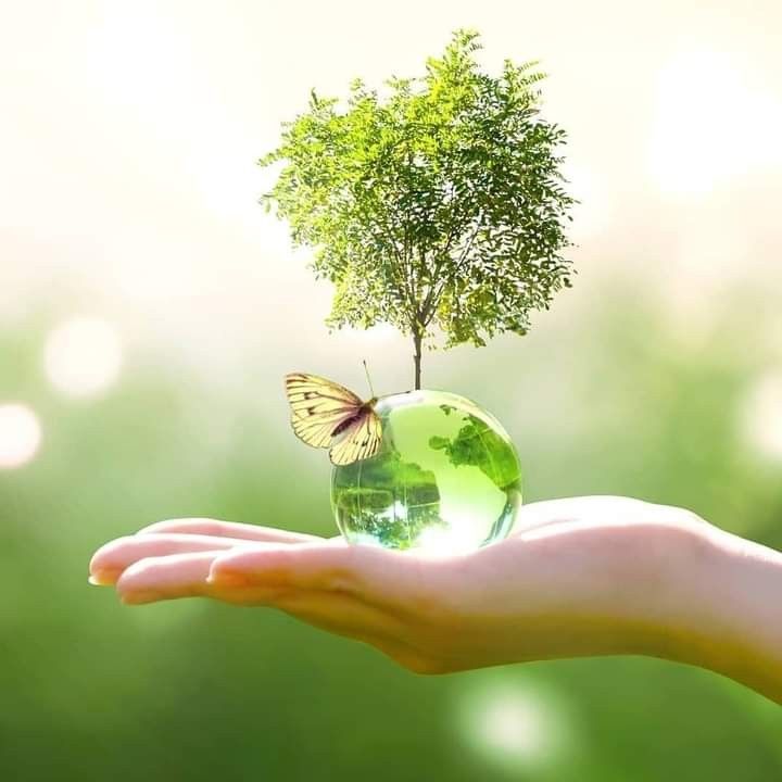 رسومات عن تغير المناخ