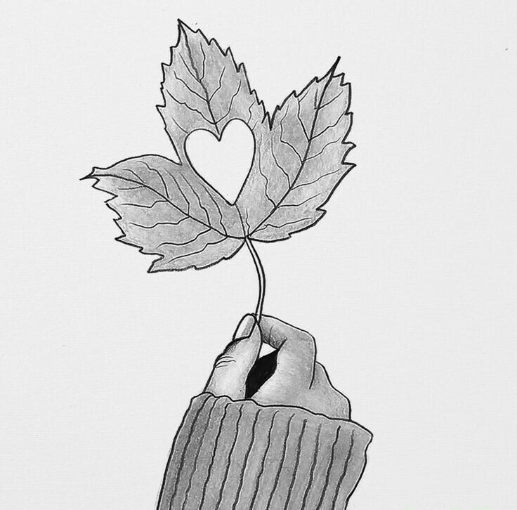 صور رسومات بالرصاص