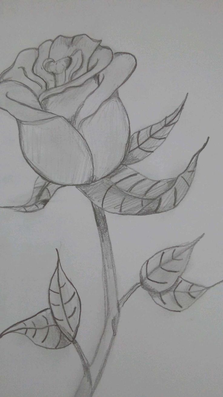 رسم بالرصاص منظر طبيعي