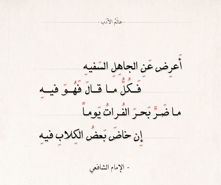 أقوال عن الجهل