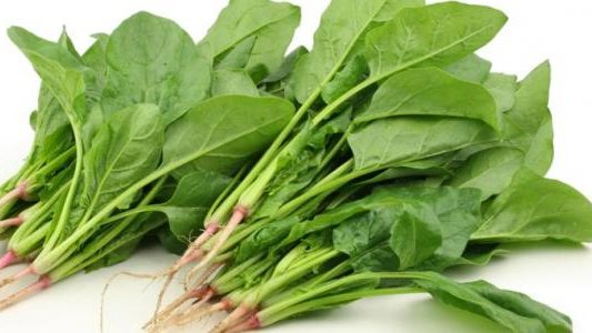 الخضروات الورقية