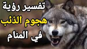 هجوم الذئب في المنام للعزباء
