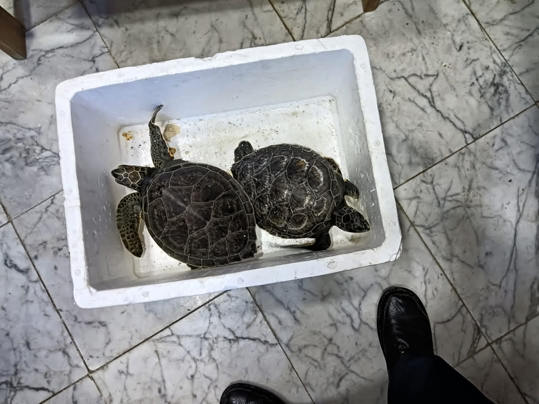 محمية أشتوم الجميل 