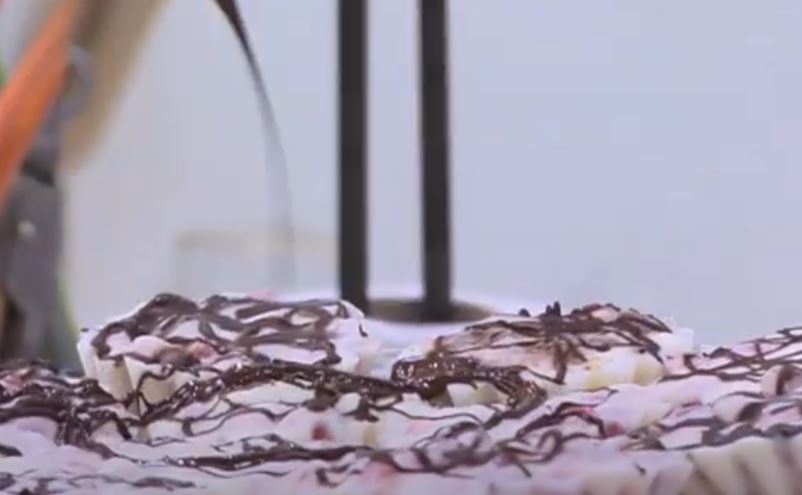 مقادير عمل آيس كريم رمان بالشوكولاتة