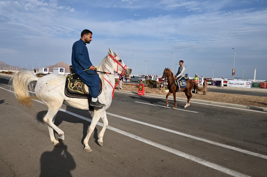 محافظ جنوب سيناء يتابع انطلاق سباق الهجن والتراث البدوي