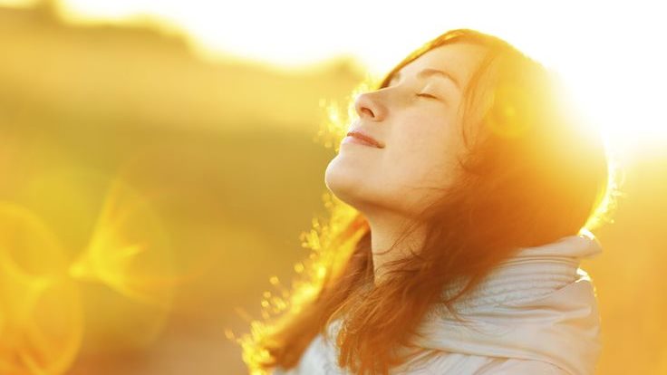 ما هي الحبوب التي تحتوي على فيتامين د؟