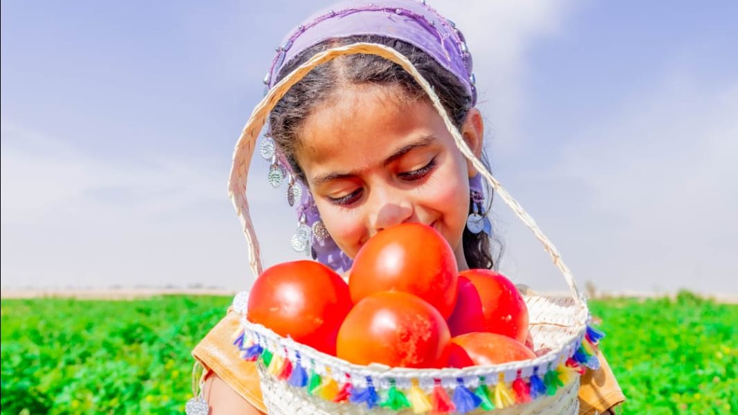 الطماطم والبطيخ