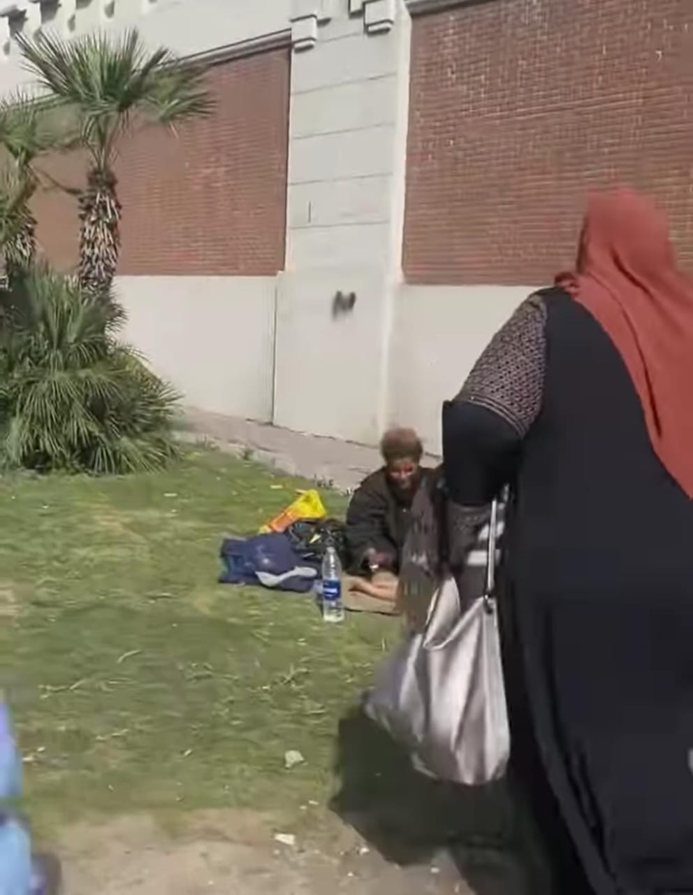 فيديو الصغير