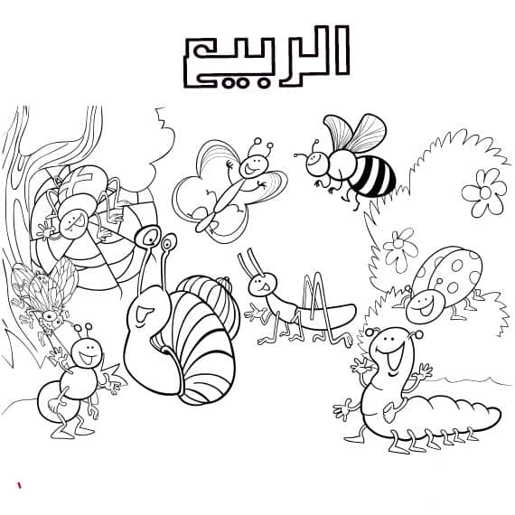 رسومات للتلوين سهلة