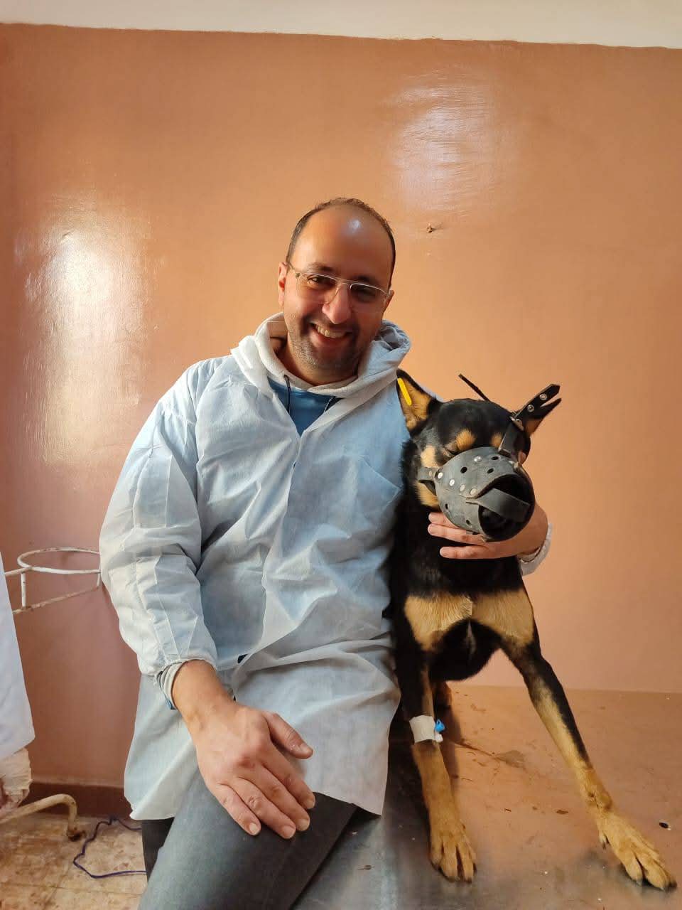 تعقيم وتحصين الكلاب الضالة ببورسعيد 