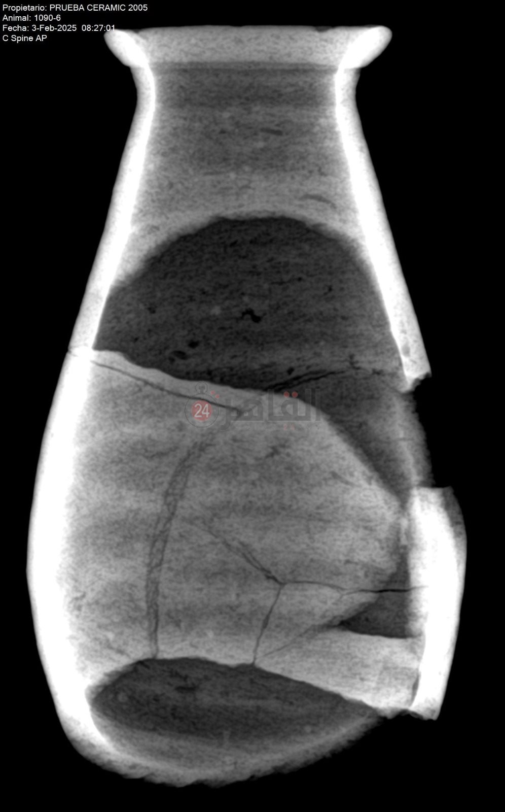 البعثة الإسبانية بالأقصر تبدأ في تحليل الفخار المُكتشف حديثا (4)