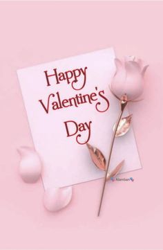 صور تهنئة عيد الحب