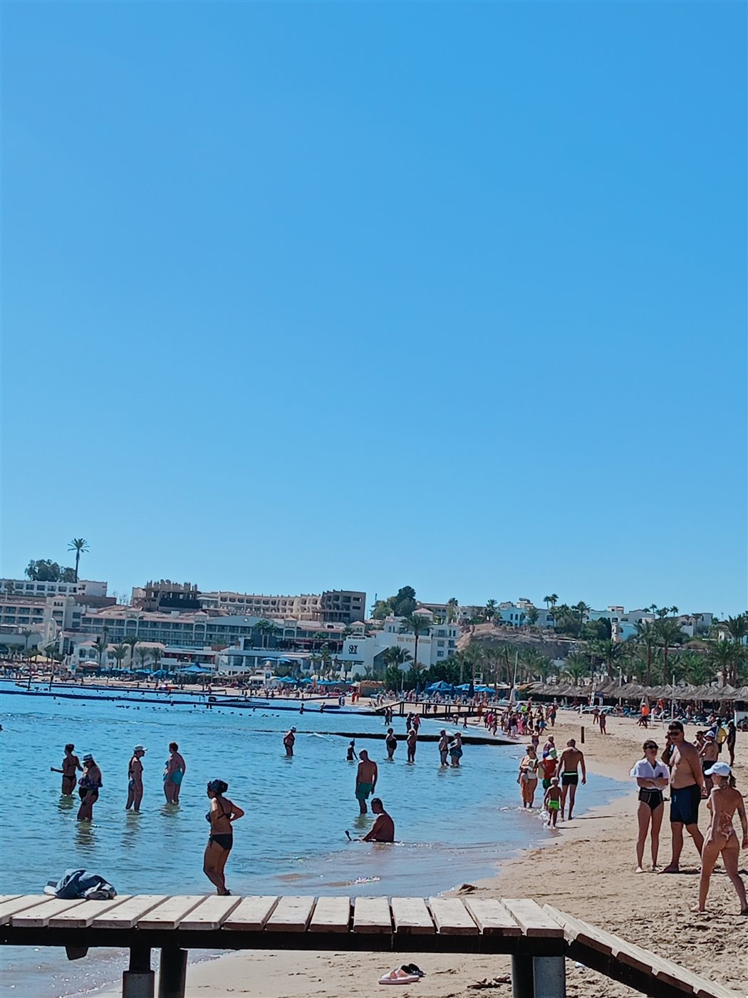 عودة الرحلات البحرية بشرم الشيخ بعد توقف ثلاثة أيام 