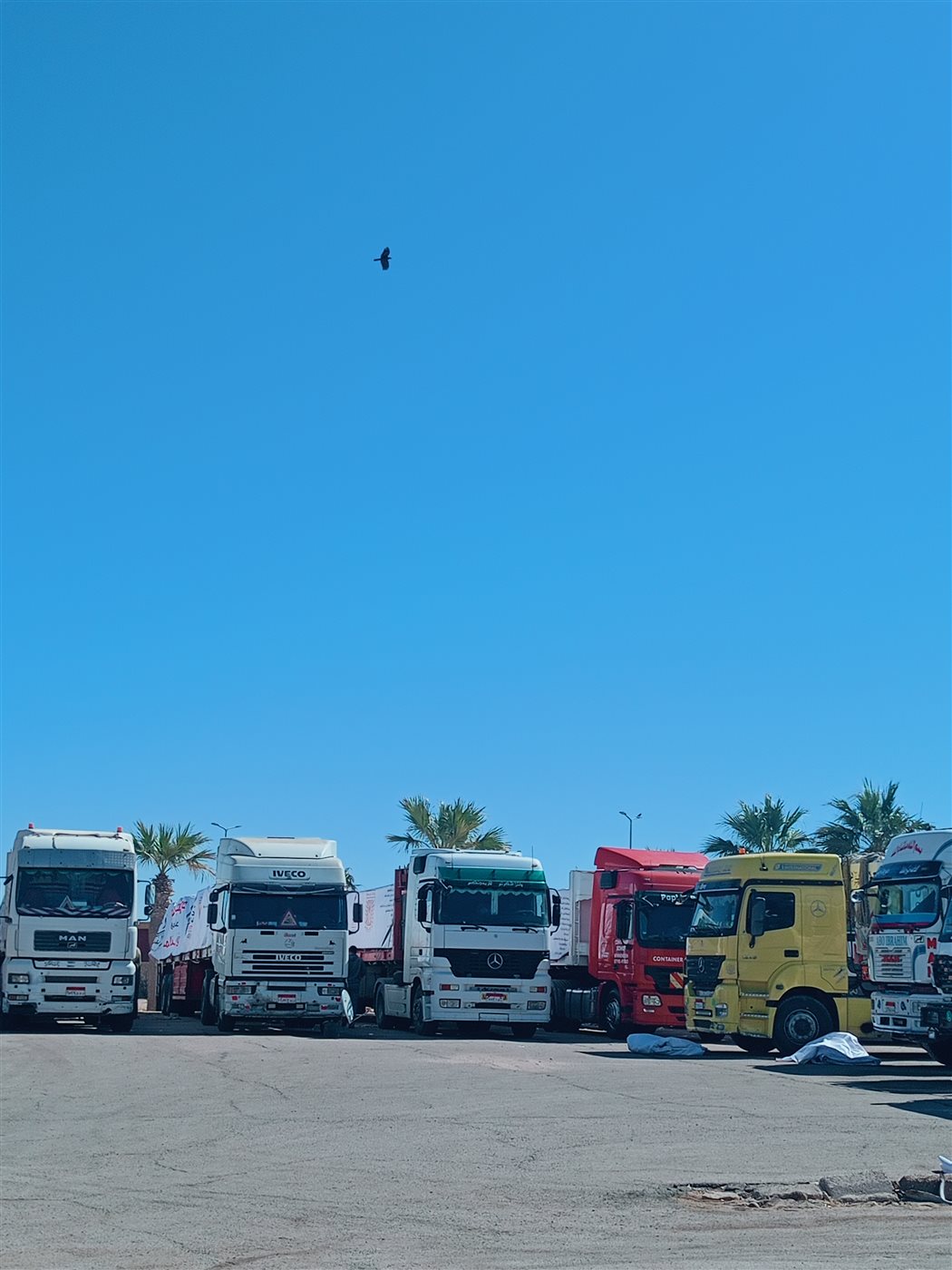 استعدادات جنوب سيناء لإرسال 150 طن مواد غذائية لغزة 