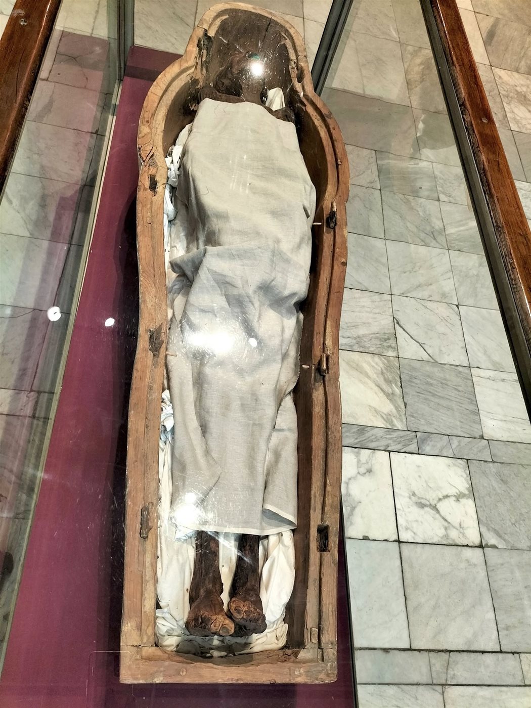 المومياء الصارخة