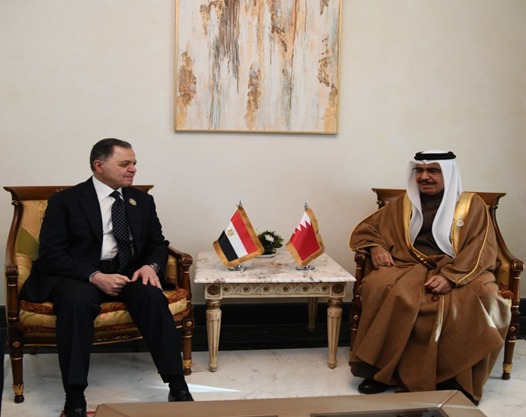 وزير الداخلية يلتقي عددا من نظرائه في فعاليات وزراء الداخلية العرب