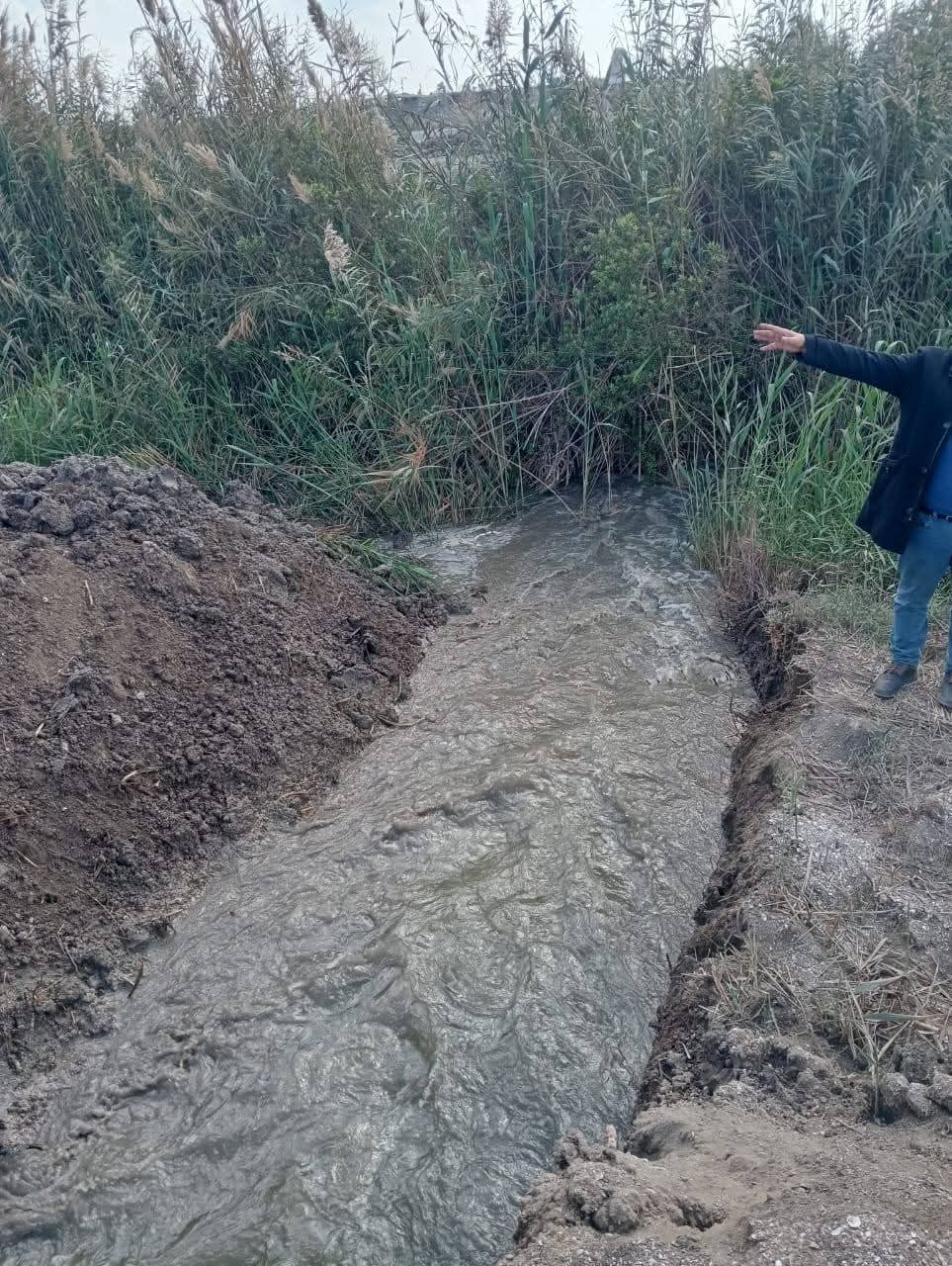 الموجة 25 ببورسعيد 