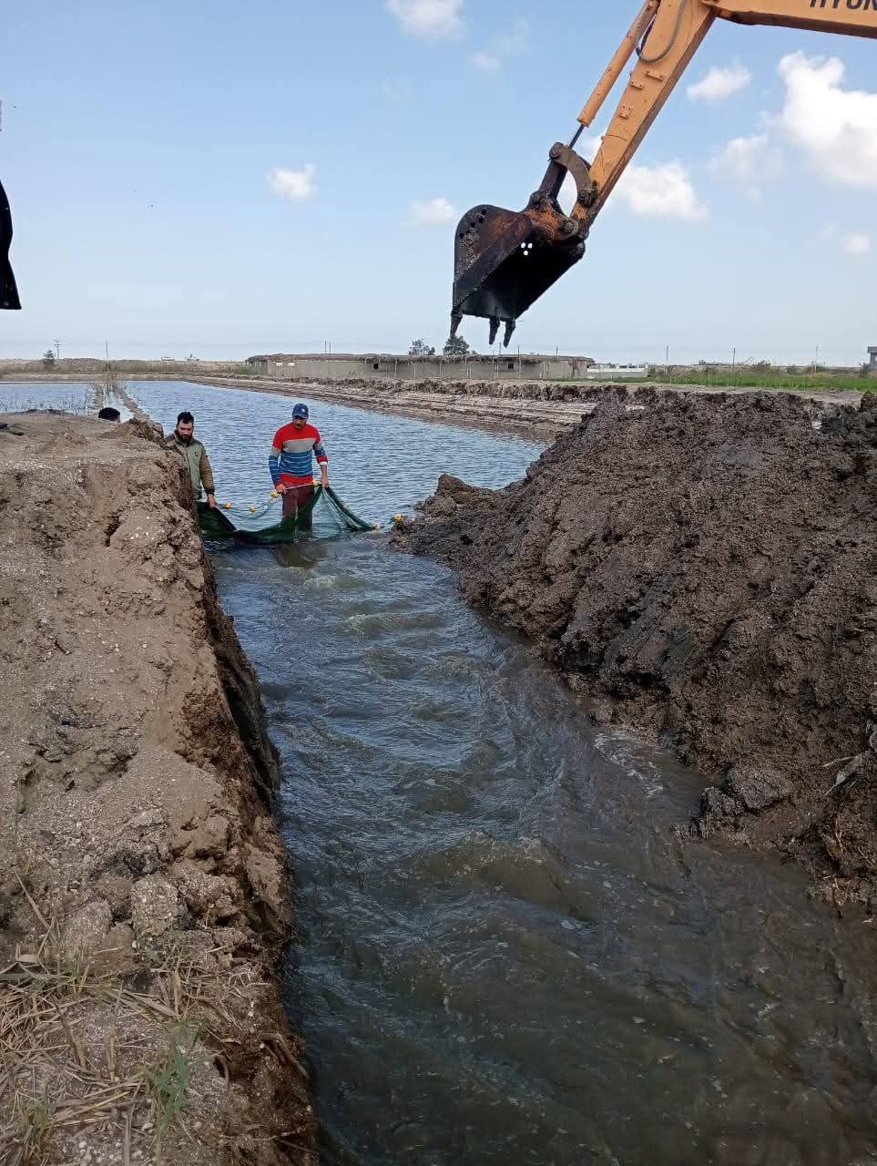 الموجة 25 ببورسعيد 