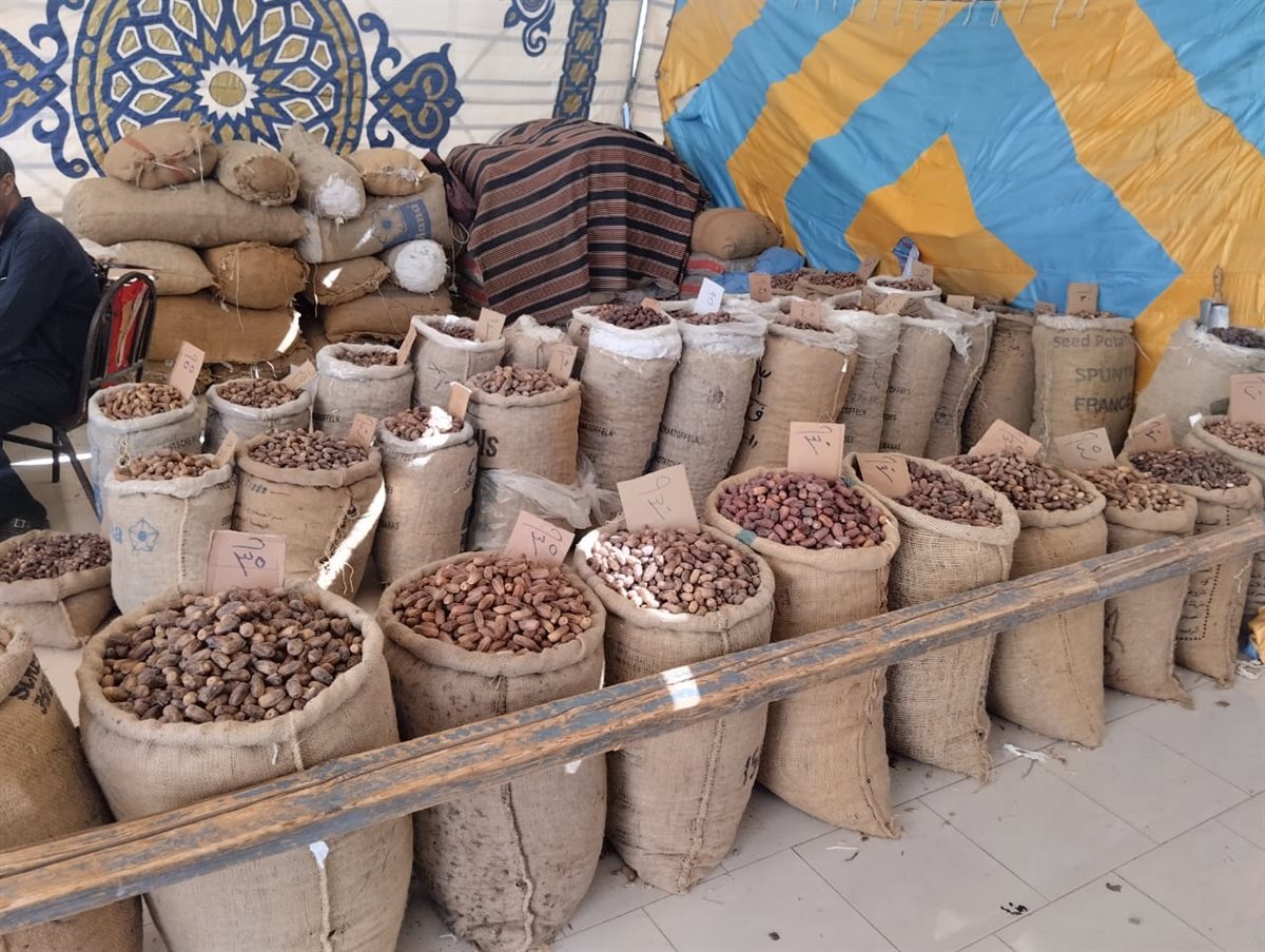  افتتاح معرض أهلا رمضان بطور سيناء بتخفيضات تصل إلى 30%