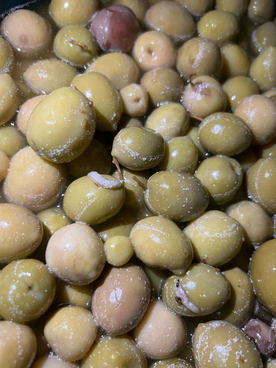 ضبط مخالفات 