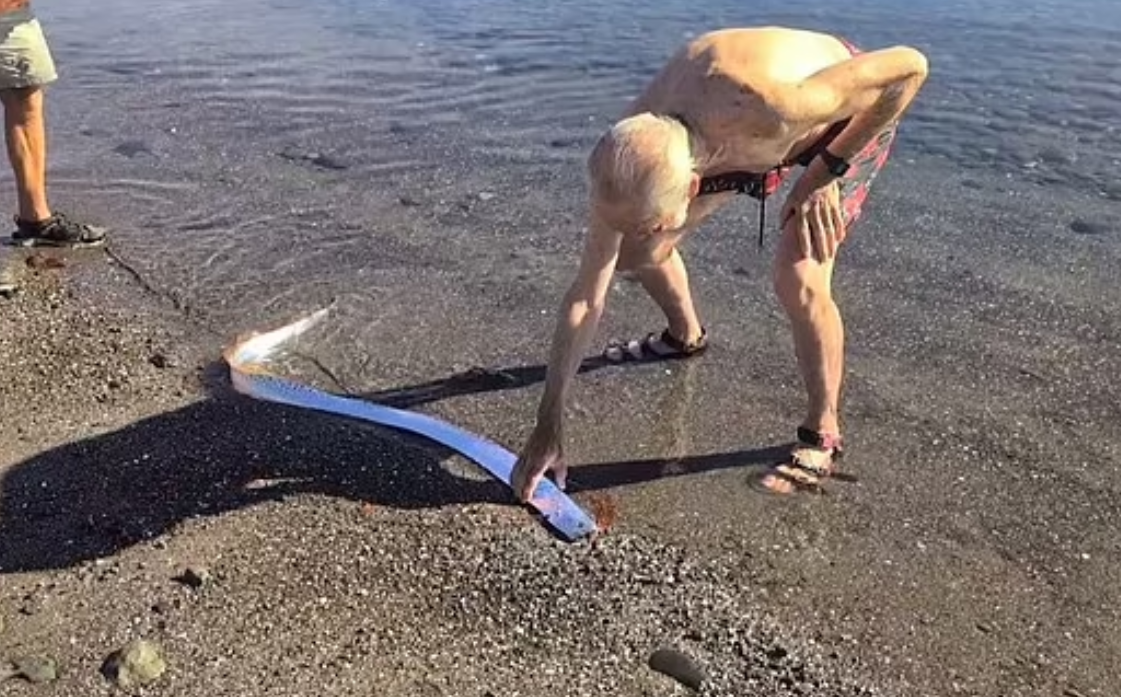 سمكة يوم القيامة 