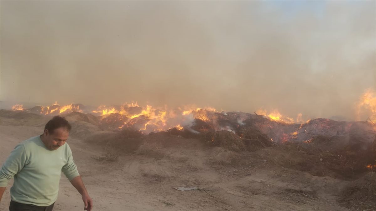حريق داخل مخلفات الأراضي الزراعية والأشجار بقطعة أرض بقرية النعناعي بالبحيرة