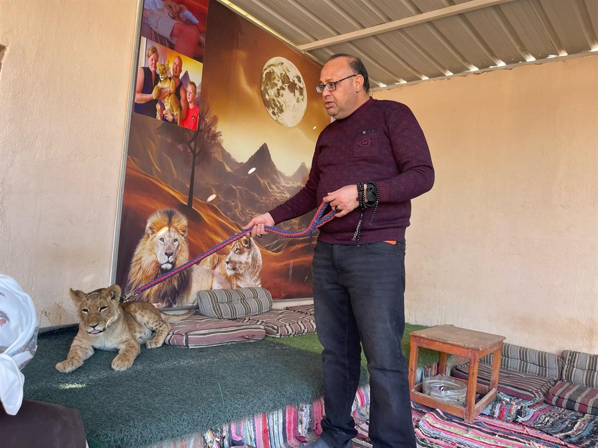 ترحيل شبل الأسد بالغردقة 