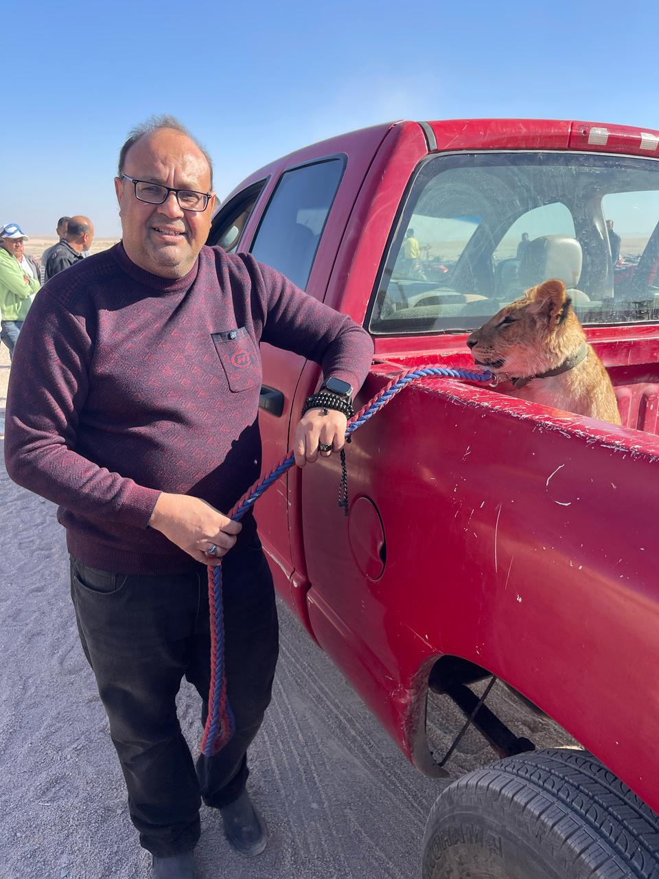 ترحيل شبل الأسد بالغردقة 