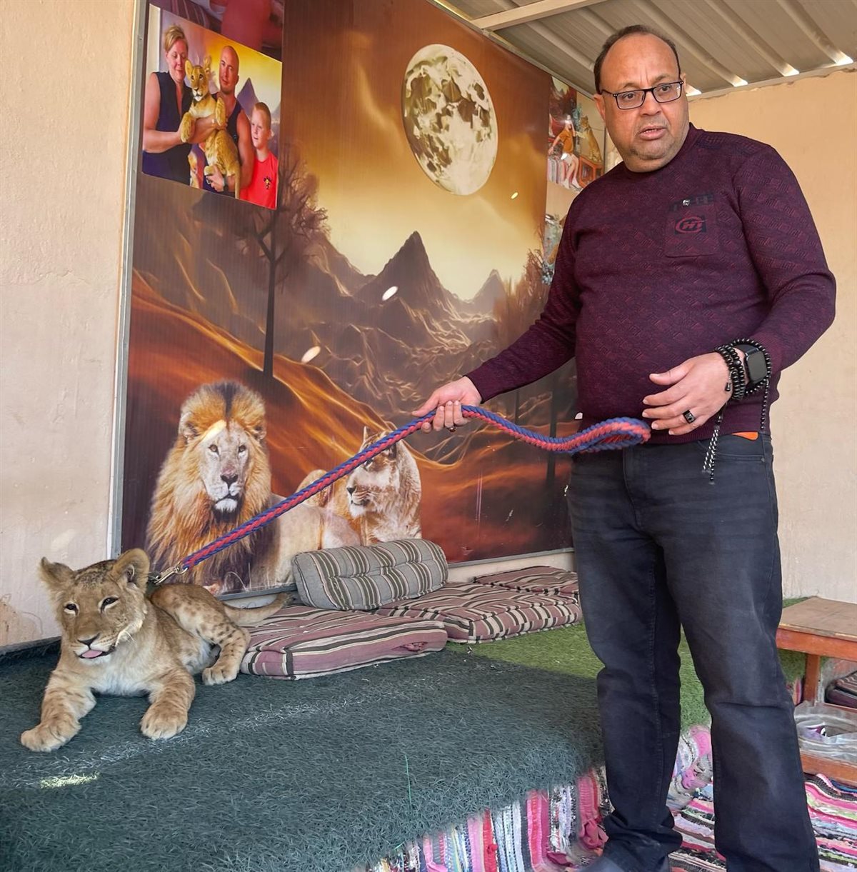 ترحيل شبل الأسد بالغردقة 