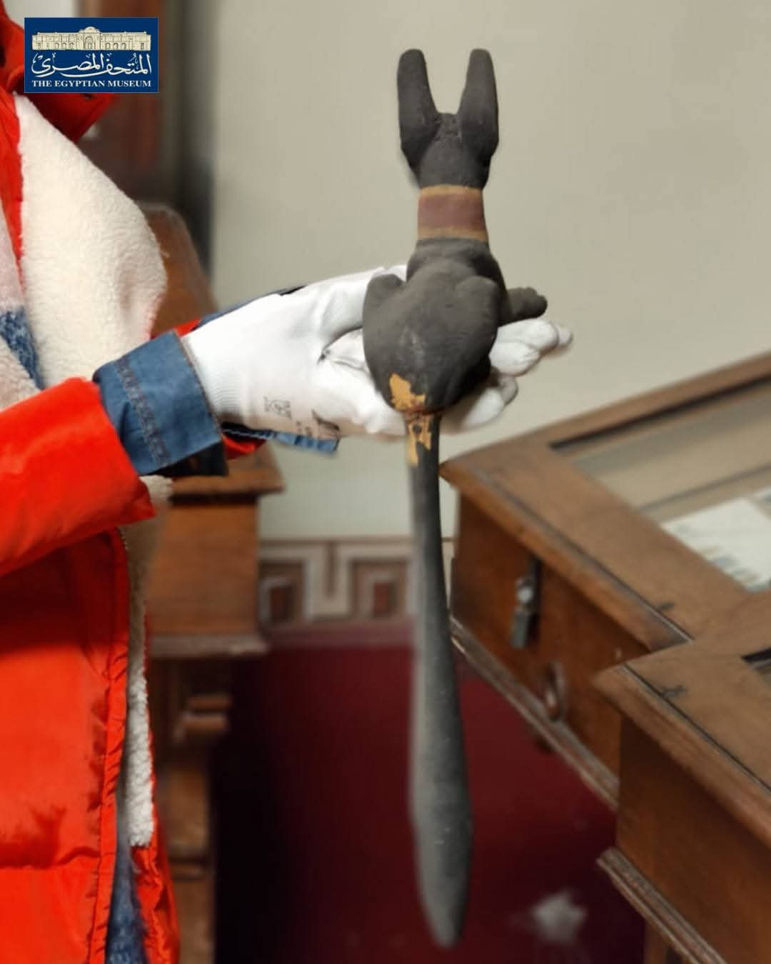 قطعة أثرية فريدة للمعبود أنوبيس&nbsp;