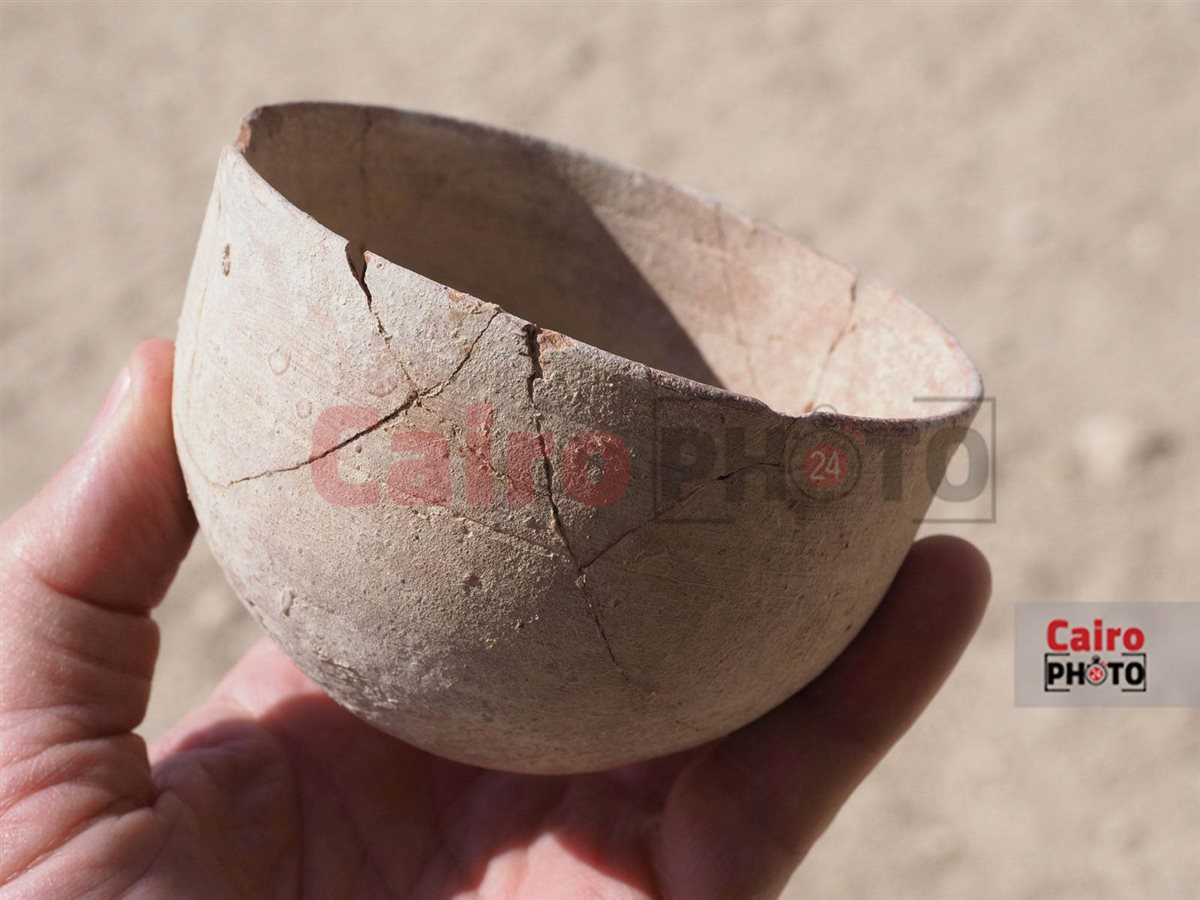 الفخار المُكتشف بداخله النبات