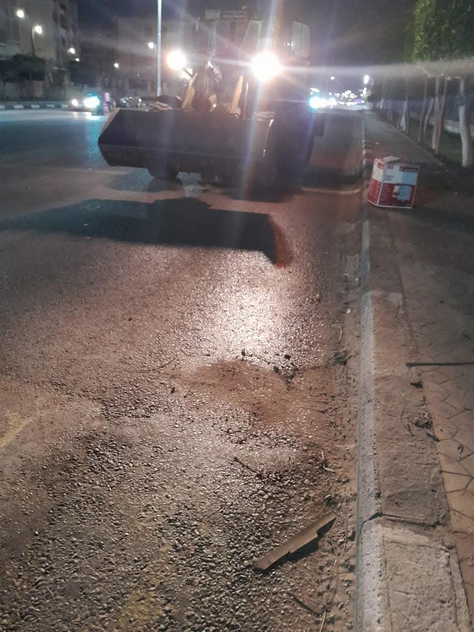 العثور على حيوان نافق ببورفؤاد 