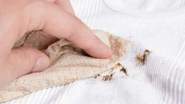 إزالة الصدأ من الملابس بمعجون الأسنان