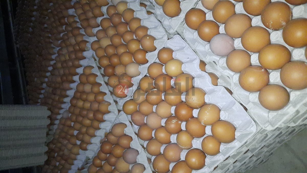 ٢٠٢٥٠٢٢٣_١٢٢٥٥٦