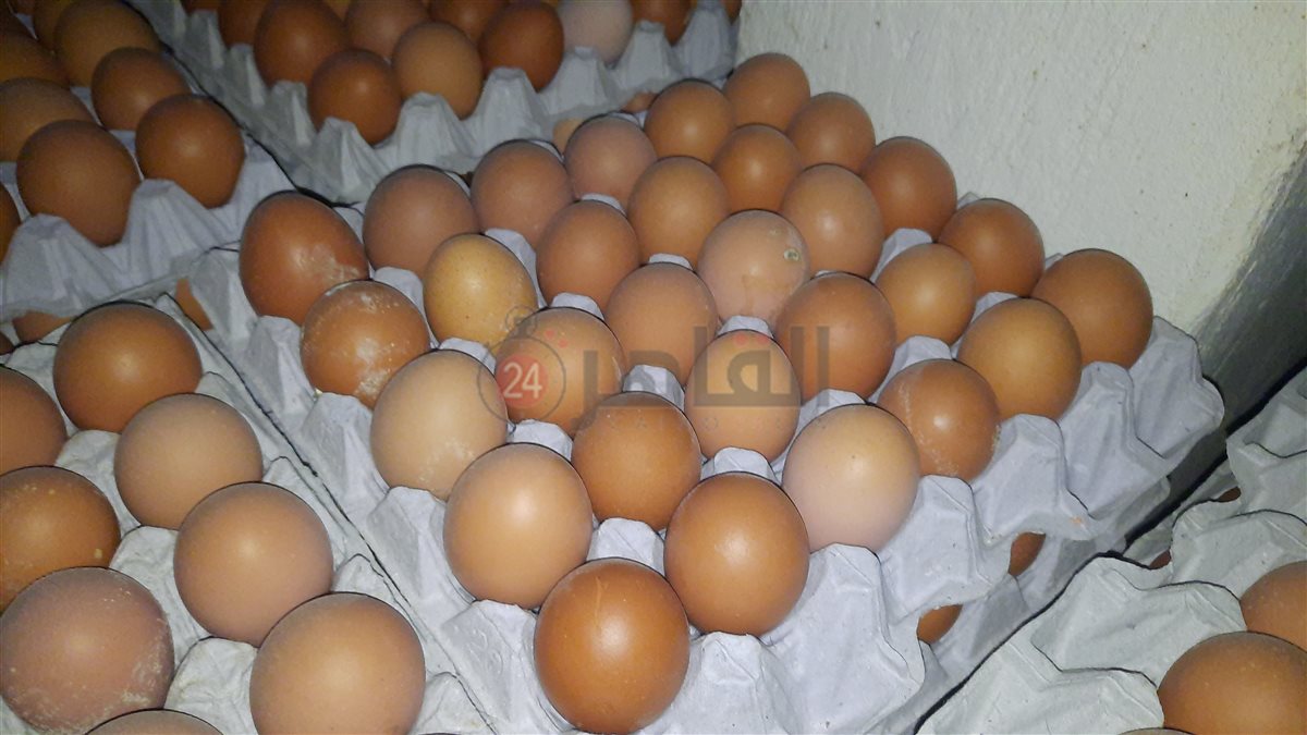 ٢٠٢٥٠٢٢٣_١٢٢٢٠٧