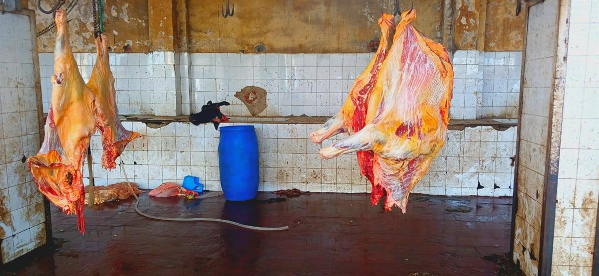 الذبيحة التي جري إعدمها