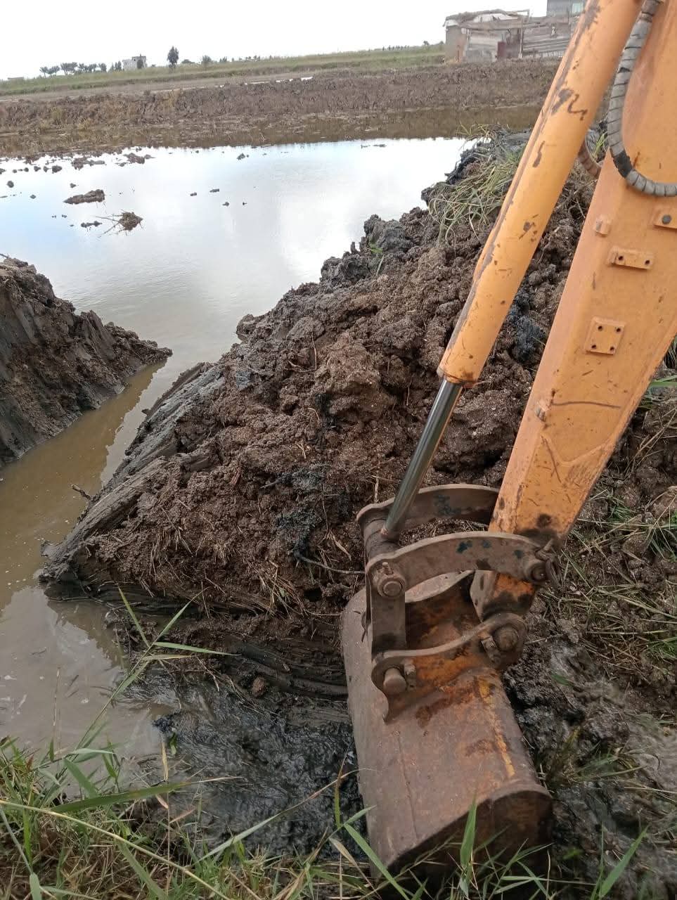 إزالة تعديات على الأراضي الزراعية بجنوب بورسعيد