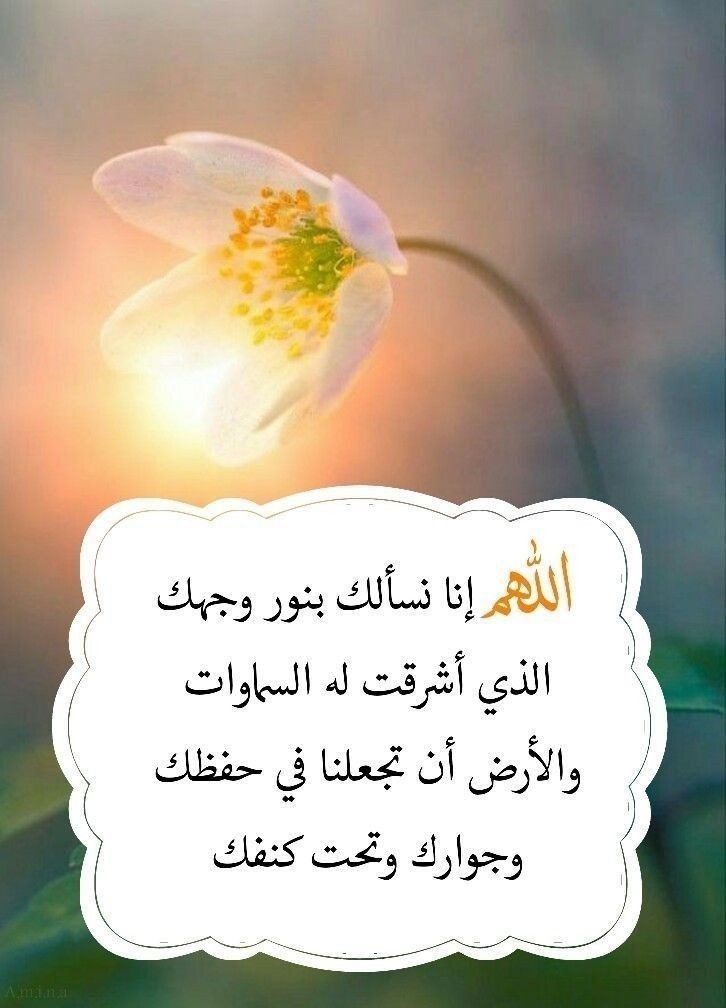 دعاء ثاني يوم رمضان 2025