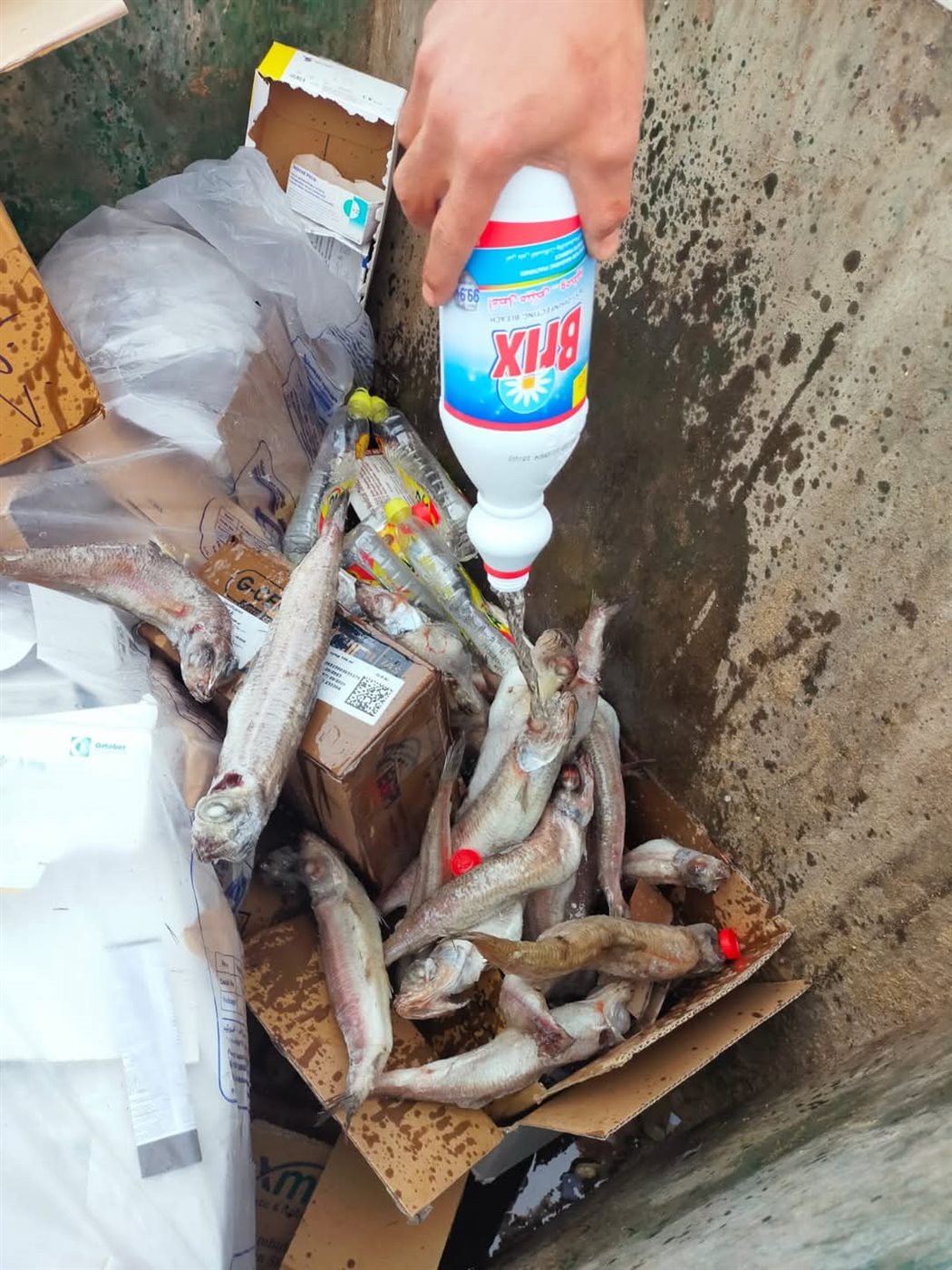 حملة لمديرية الصحة على مدينة رأس سدر بجنوب سيناء