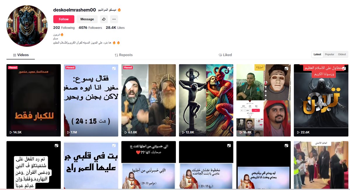 قناة التيك توك