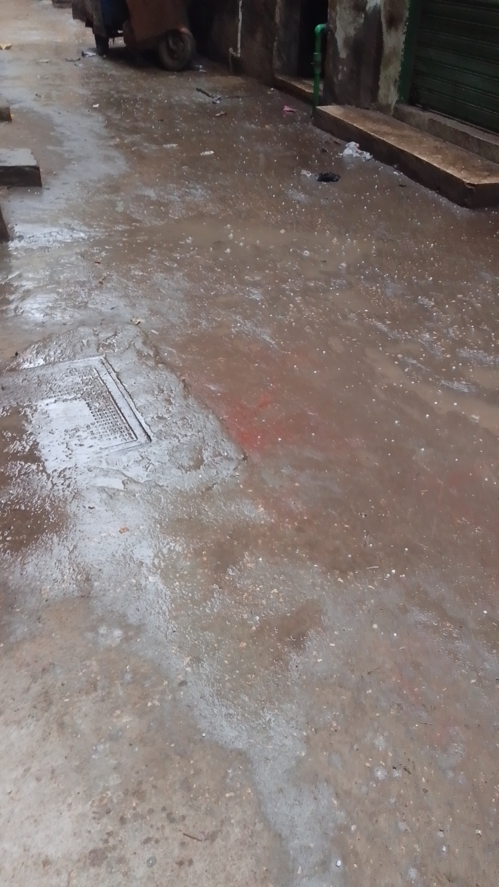 جانب من الثلوج