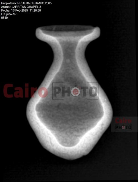 قطعة فخار مُكتشفه بواسطة البعثة الإسبانية بالأقصر   